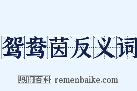 鸳鸯茵反义词是什么意思的图片